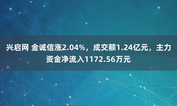 兴启网 金诚信涨2.04%，成交额1.24亿元，主力资金净流入1172.56万元
