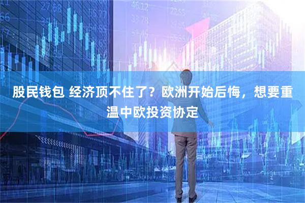 股民钱包 经济顶不住了？欧洲开始后悔，想要重温中欧投资协定